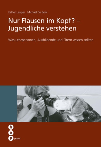 Michael De Boni. Nur Flausen im Kopf? - Jugendliche verstehen