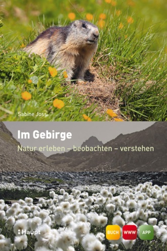 Sabine Joss. Im Gebirge