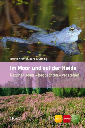 Bruno P. Kremer. Im Moor und auf der Heide