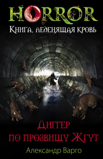 Обложка книги «Диггер по прозвищу Жгут»