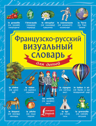 Обложка книги «Французско-русский визуальный словарь для детей»