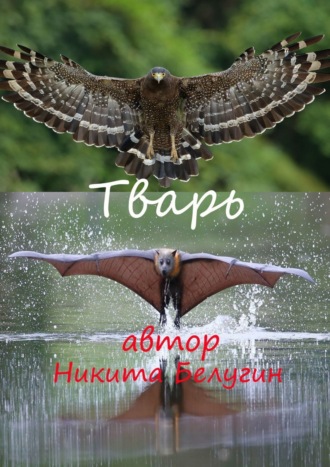 Никита Белугин. Тварь