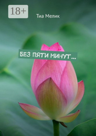 Обложка книги «Без пяти минут…»