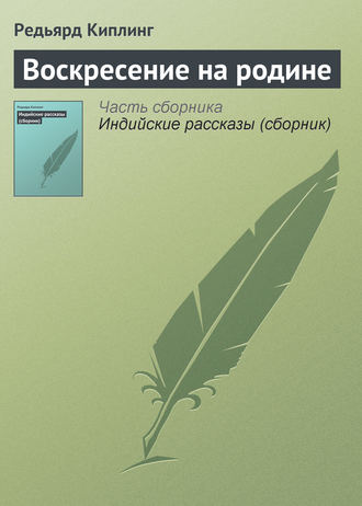 Обложка книги «Воскресение на родине»
