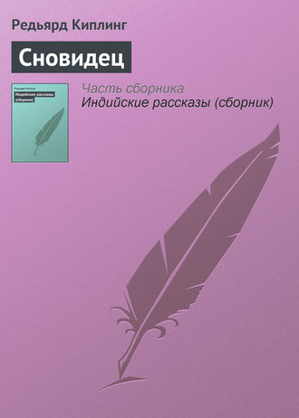 Обложка книги «Сновидец»