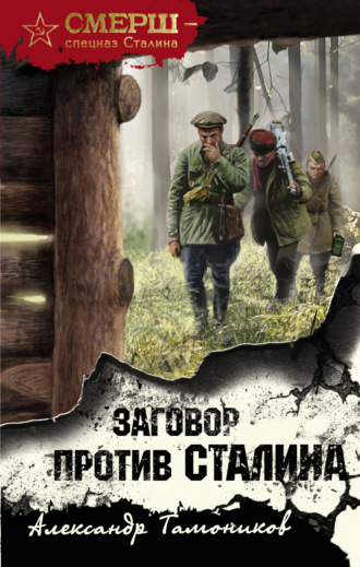 Обложка книги «Заговор против Сталина»