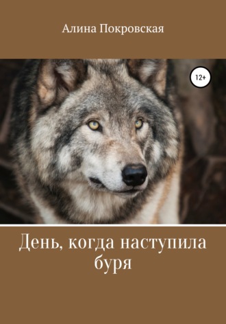 Обложка книги «День, когда наступила буря»