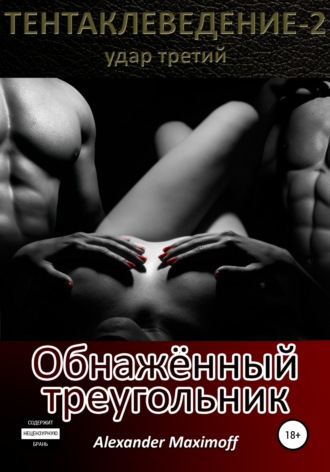 Обложка книги «Обнажённый треугольник»