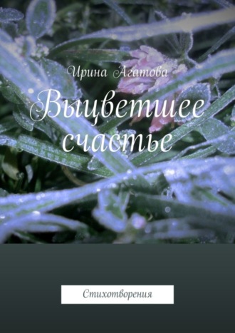 Обложка книги «Выцветшее счастье. Стихотворения»