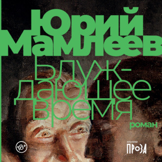 Обложка книги «Блуждающее время»
