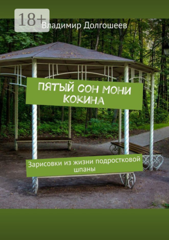 Обложка книги «Пятый сон Мони Кокина. Зарисовки из жизни подростковой шпаны»
