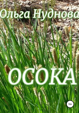 Обложка книги «Осока»