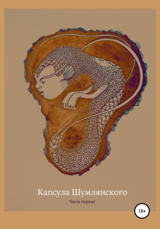 Обложка книги «Капсула Шумлянского»