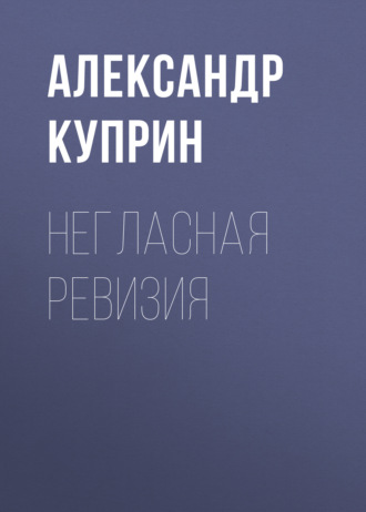 Обложка книги «Негласная ревизия»