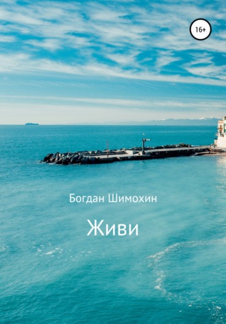 Обложка книги «Живи»