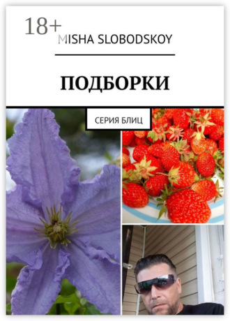 Обложка книги «Подборки. Серия блиц»