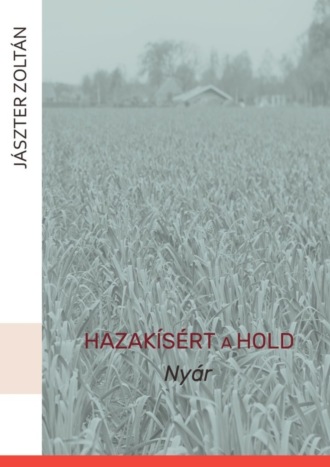 Обложка книги «Hazakísért a Hold. Nyár»