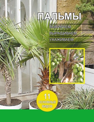 Обложка книги «Пальмы. Выбираем, выращиваем, ухаживаем»