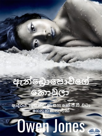 Обложка книги «ඇන්ඩ්‍රොපොව්ගේ කොවුලා»