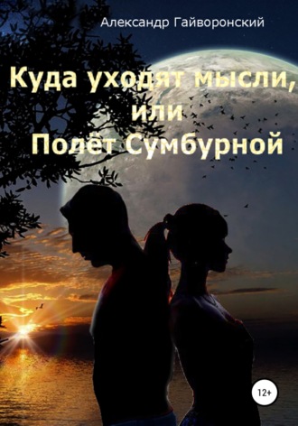 Обложка книги «Куда уходят мысли, или Полет Сумбурной»