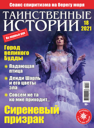 Обложка книги «Таинственные истории №18/2021»