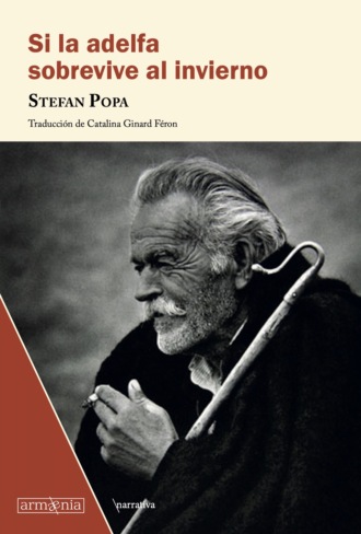 Stefan Popa. Si la adelfa sobrevive al invierno