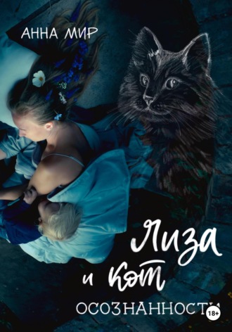 Обложка книги «Лиза и Кот осознанности»