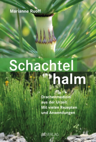 Marianne Ruoff. Schachtelhalm - eBook