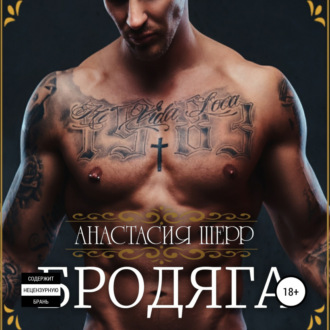 Обложка книги «Бродяга»