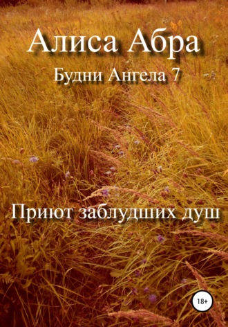 Обложка книги «Приют заблудших душ»