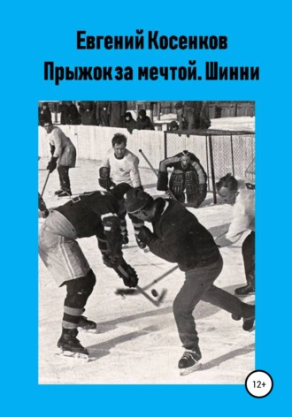Обложка книги «Прыжок за мечтой. Шинни»