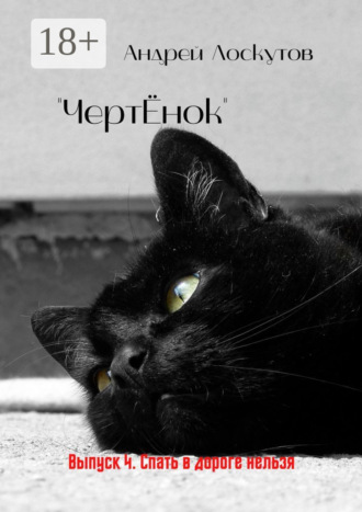 Обложка книги ««ЧертЁнок». Выпуск 4. Спать в дороге нельзя»
