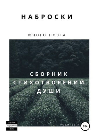 Обложка книги «Наброски юного поэта, или Сборник стихотворений души»