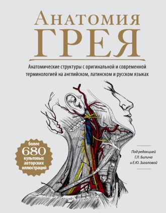Обложка книги «Анатомия Грея. Анатомические структуры с оригинальной и современной терминологией на английском, латинском и русском языках»