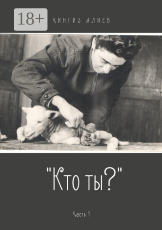 Обложка книги ««Кто ты?». Часть 1»