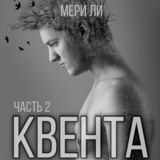 Обложка книги «Квента. Остров Избранных»