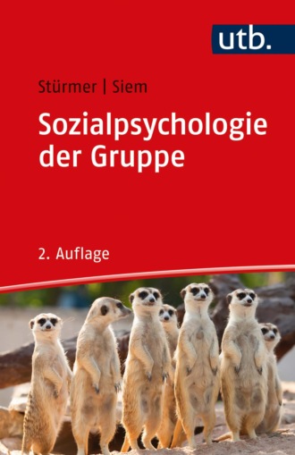 Stefan St?rmer. Sozialpsychologie der Gruppe