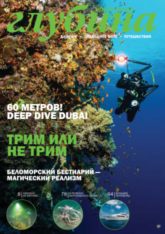 Обложка книги «Предельная Глубина №4/2021»