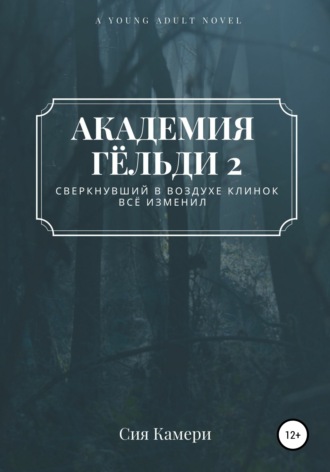 Обложка книги «Академия Гёльди 2»