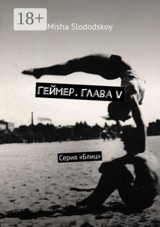 Обложка книги «Геймер. Глава V. Серия «Блиц»»