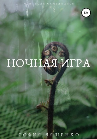 Обложка книги «Ночная игра»