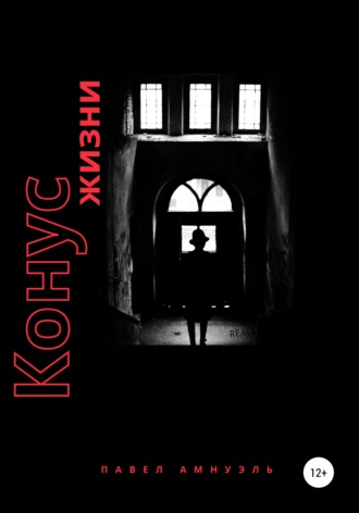 Обложка книги «Конус жизни»