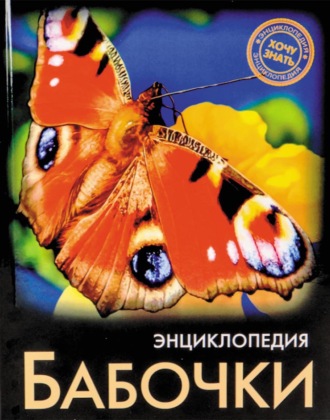 Людмила Соколова. Бабочки