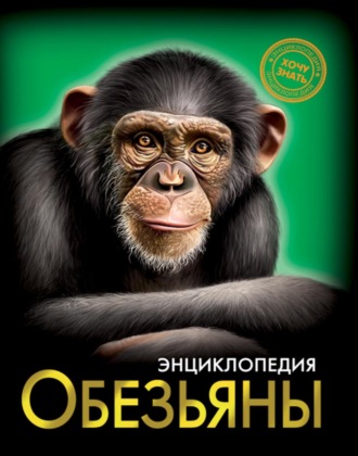 Людмила Соколова. Обезьяны