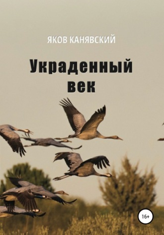 Обложка книги «Украденный век»