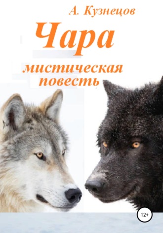 Обложка книги «Чара»
