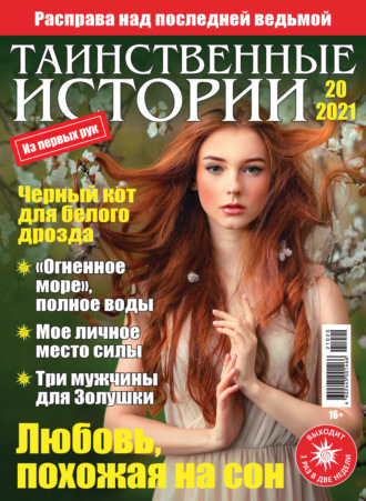 Обложка книги «Таинственные истории №20/2021»