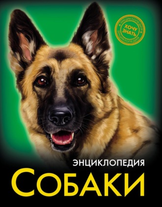 Леся Калугина. Собаки