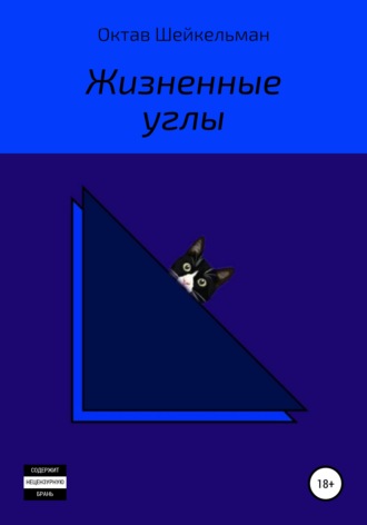 Обложка книги «Жизненные углы»
