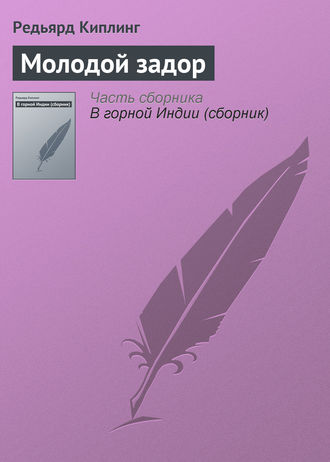 Обложка книги «Молодой задор»
